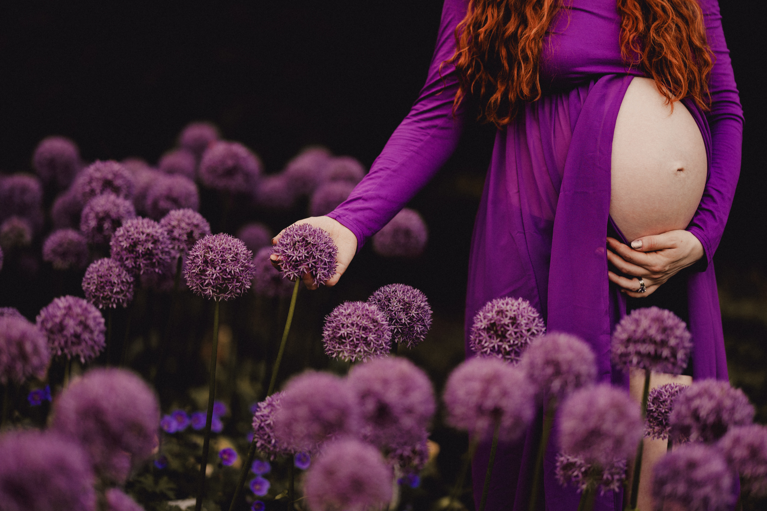 purple flowers redhead maternity pregnancy photoshoot niagara