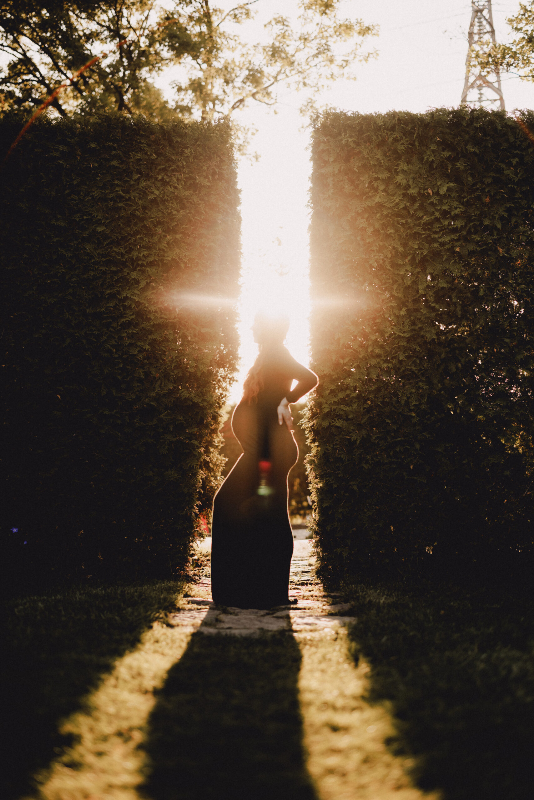 sunset silhouette maternity fine art niagara photographer