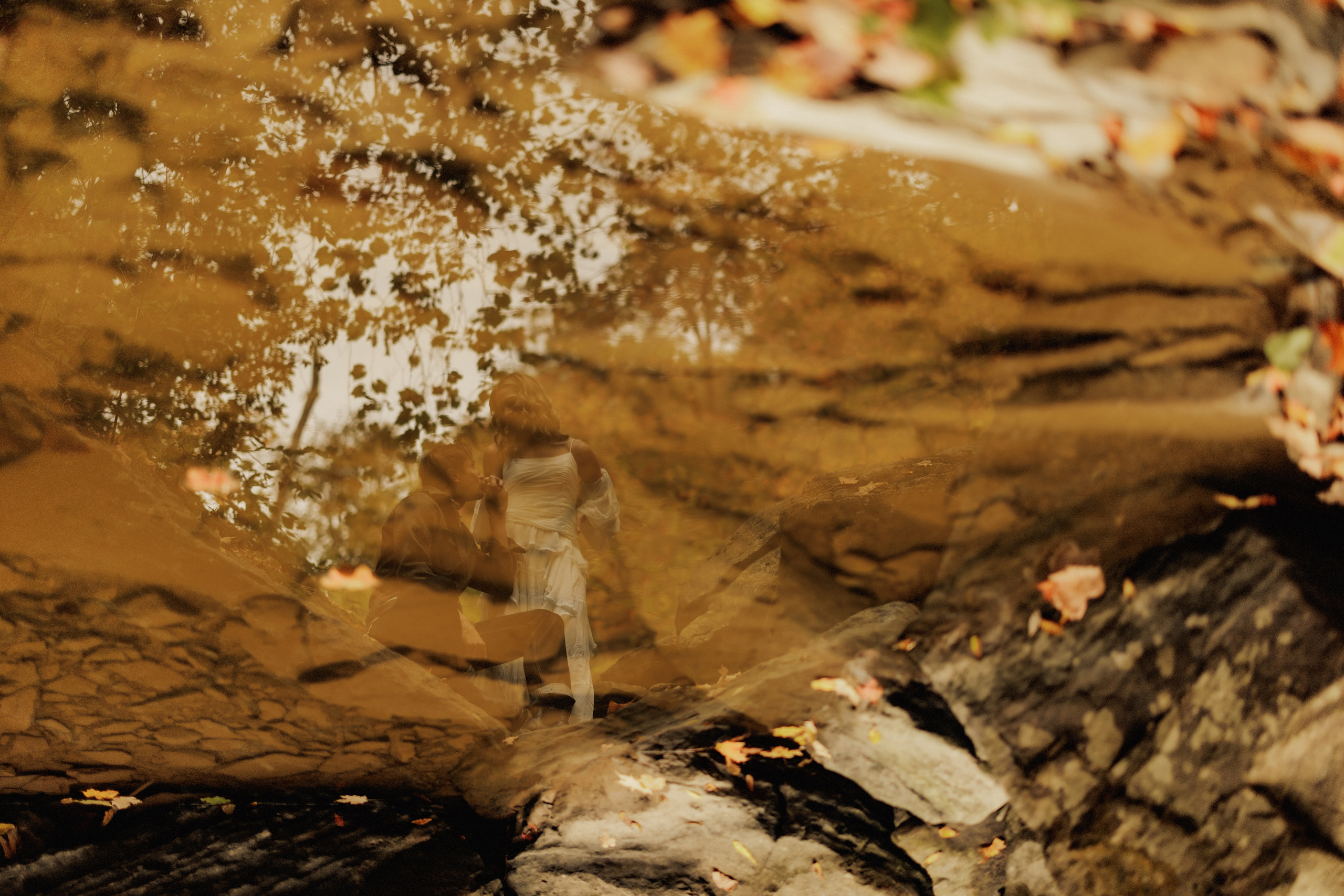 romantic fall engagement photography forest niagara
