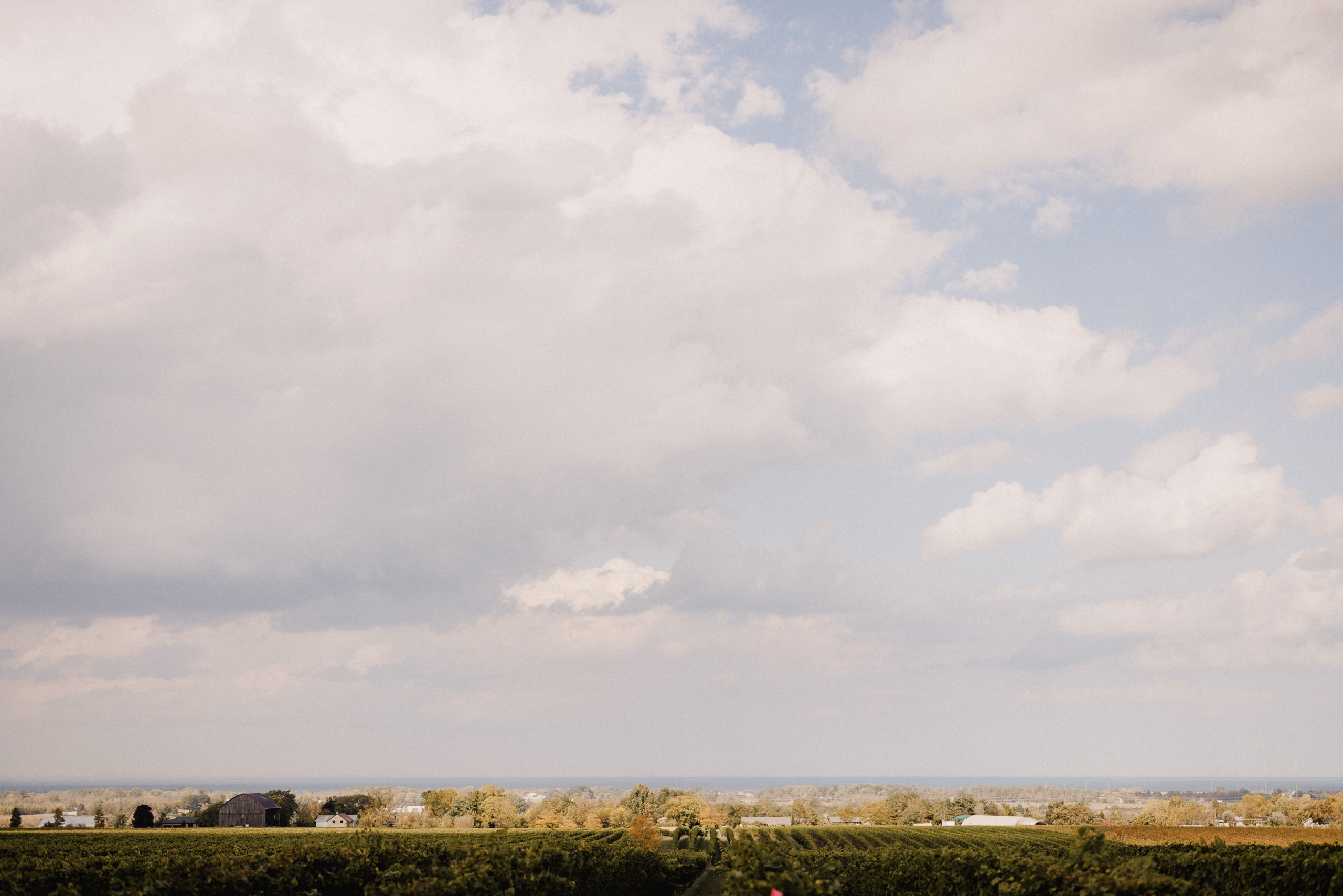 bridesmaids bouquets florals niagara