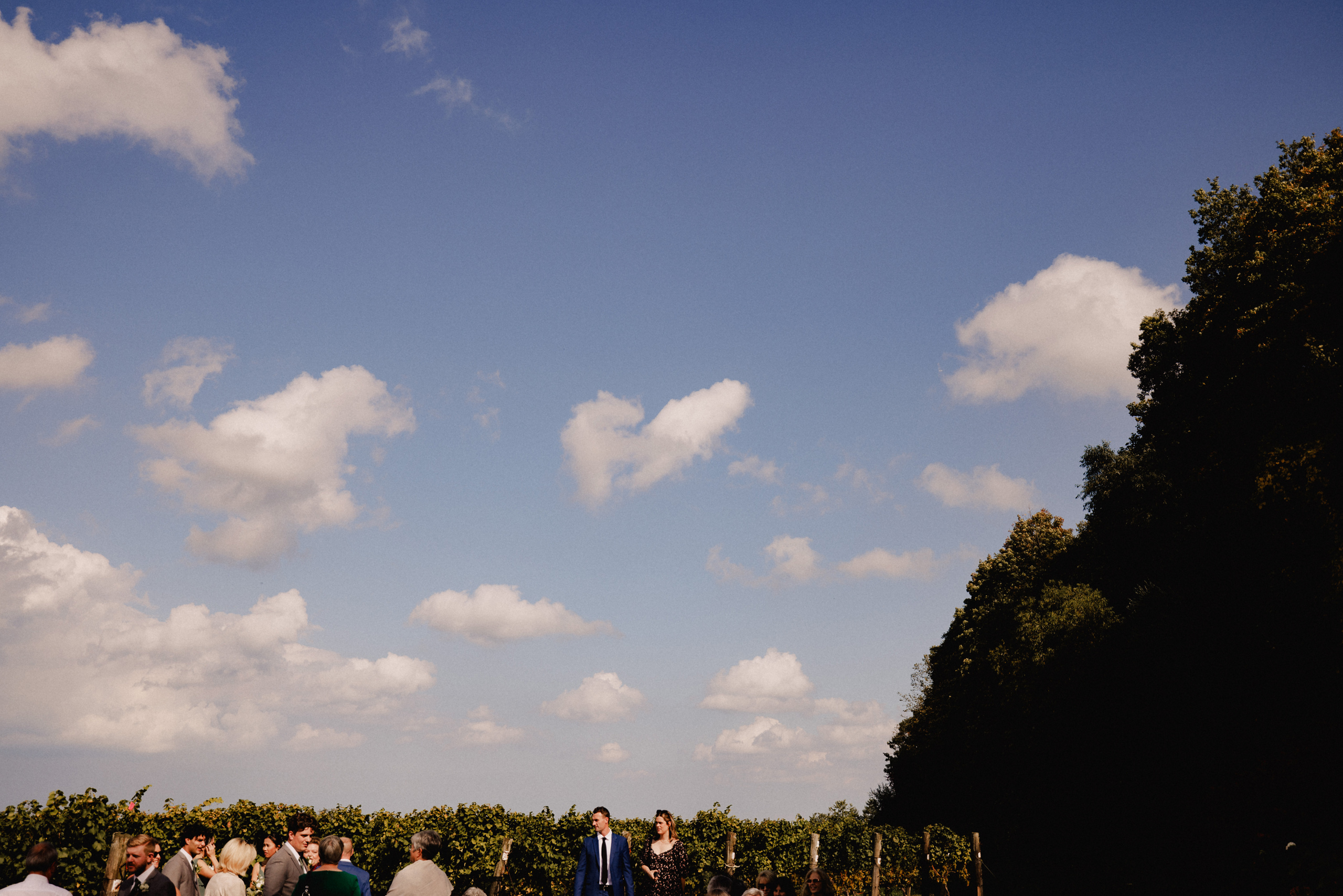 guests arriving escarpment site cave spring vineyard wedding