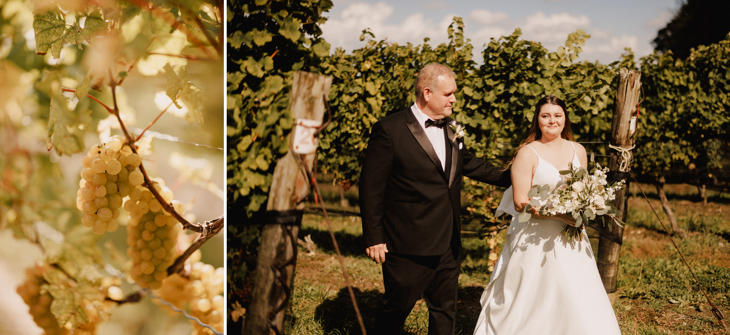 bride and father escarpment site cave spring vineyard wedding