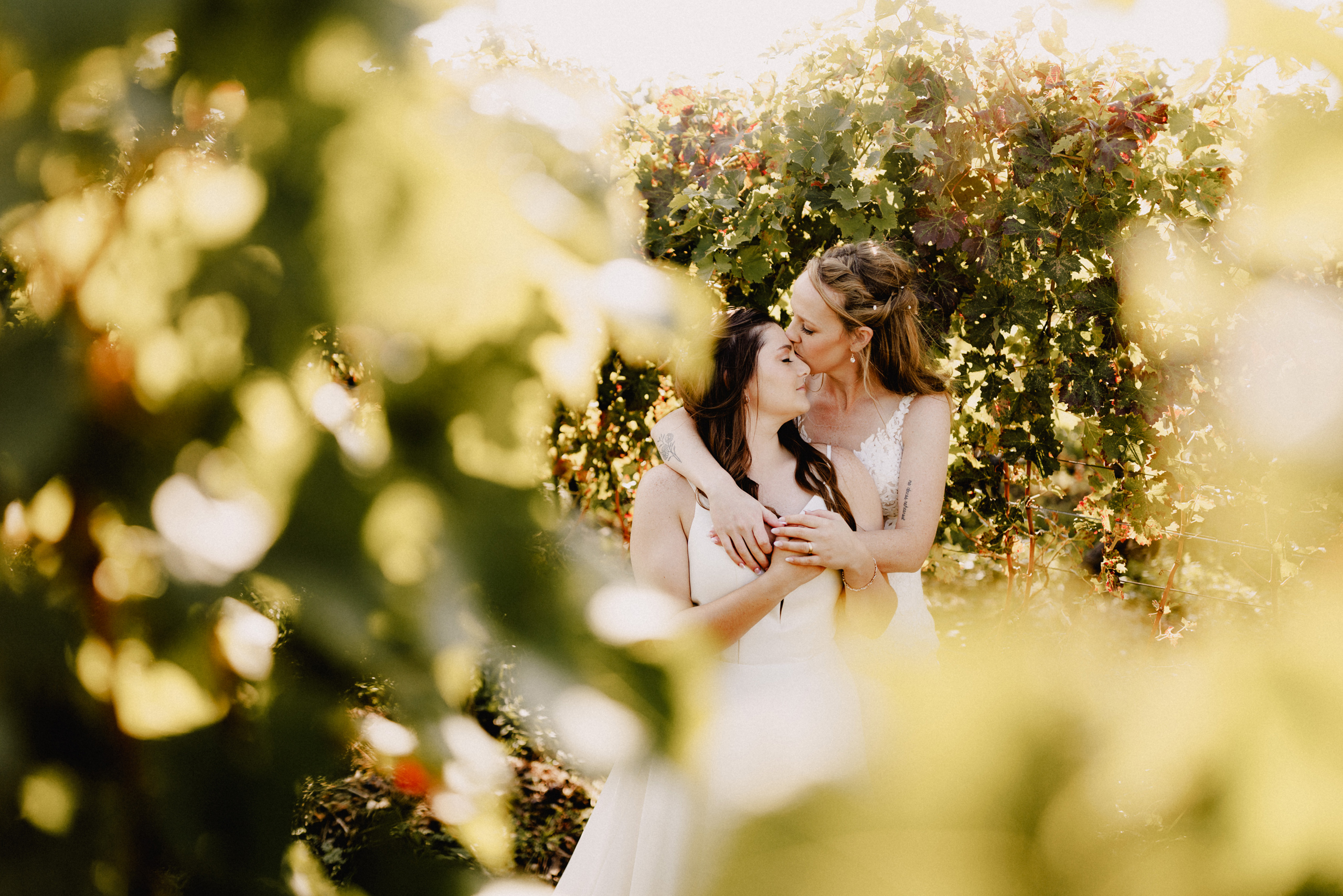 playful photos wedding vineyard cave spring niagara afterglow