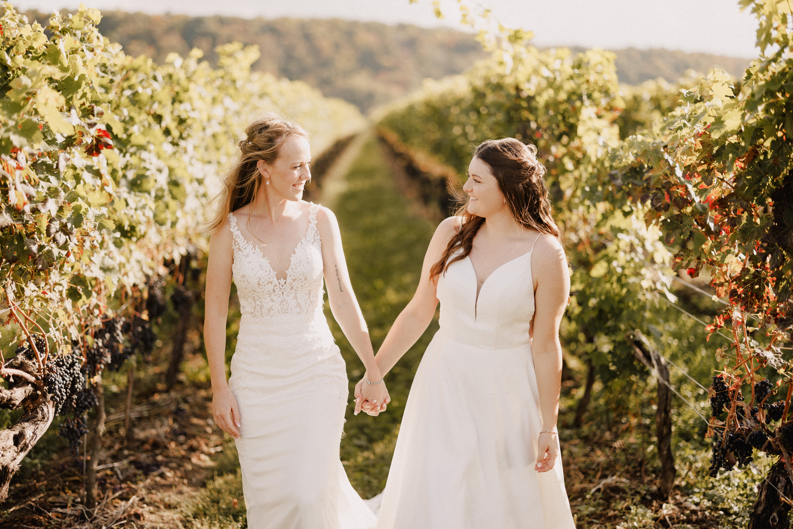 playful photos wedding vineyard cave spring niagara afterglow