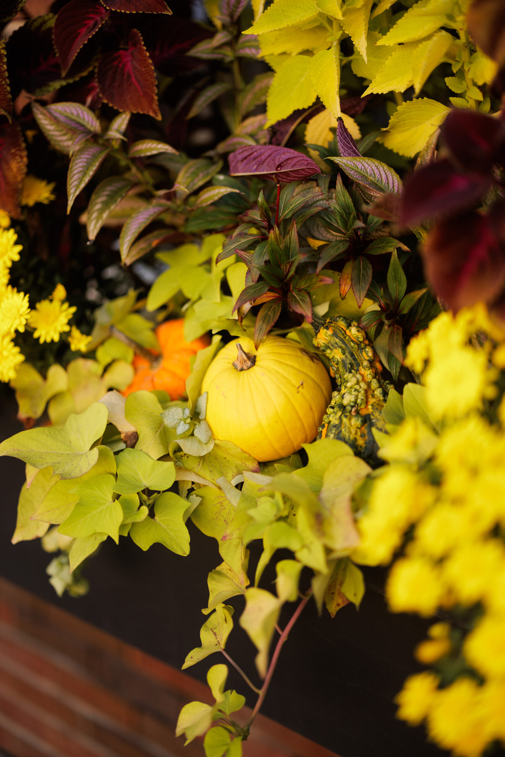 fall decor jordan town inn on the twenty