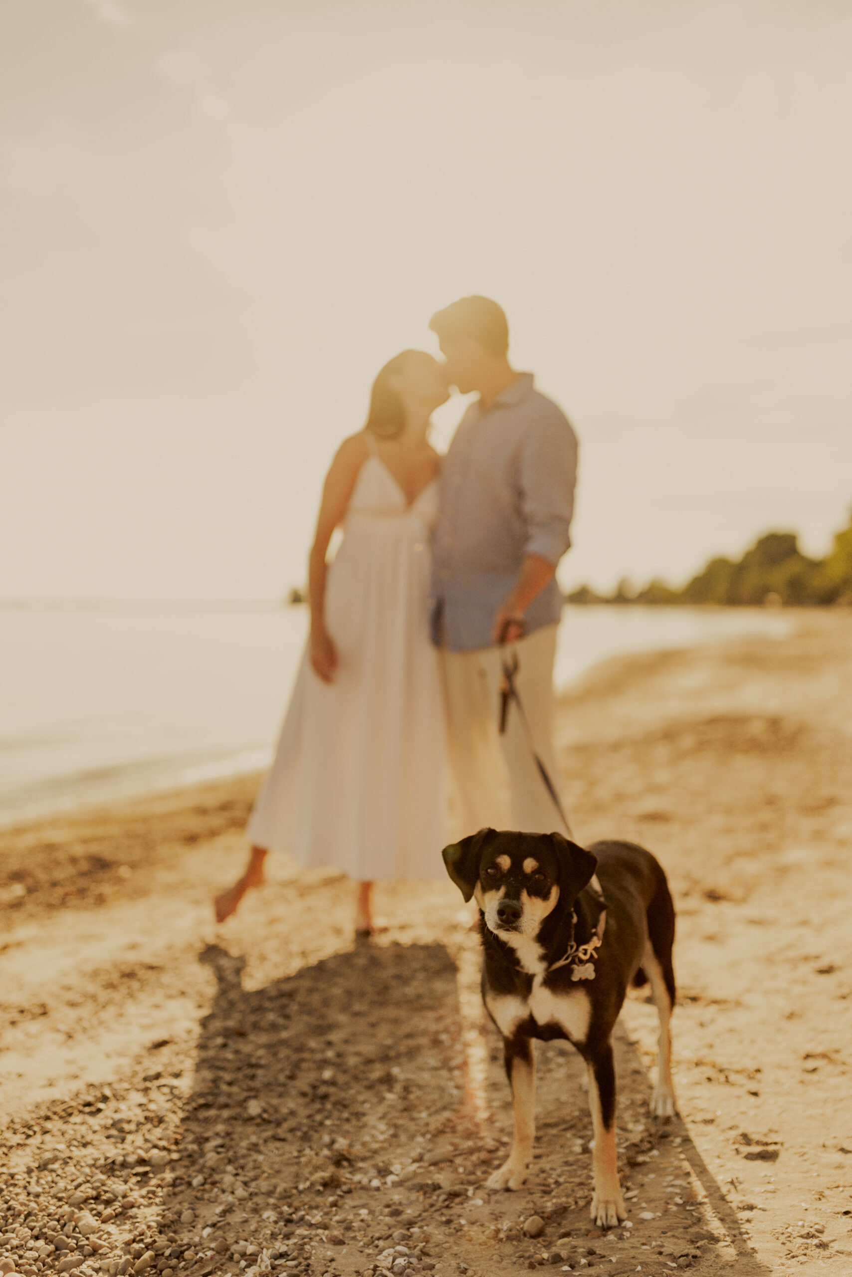 niagara beach engagement photography afterglow images