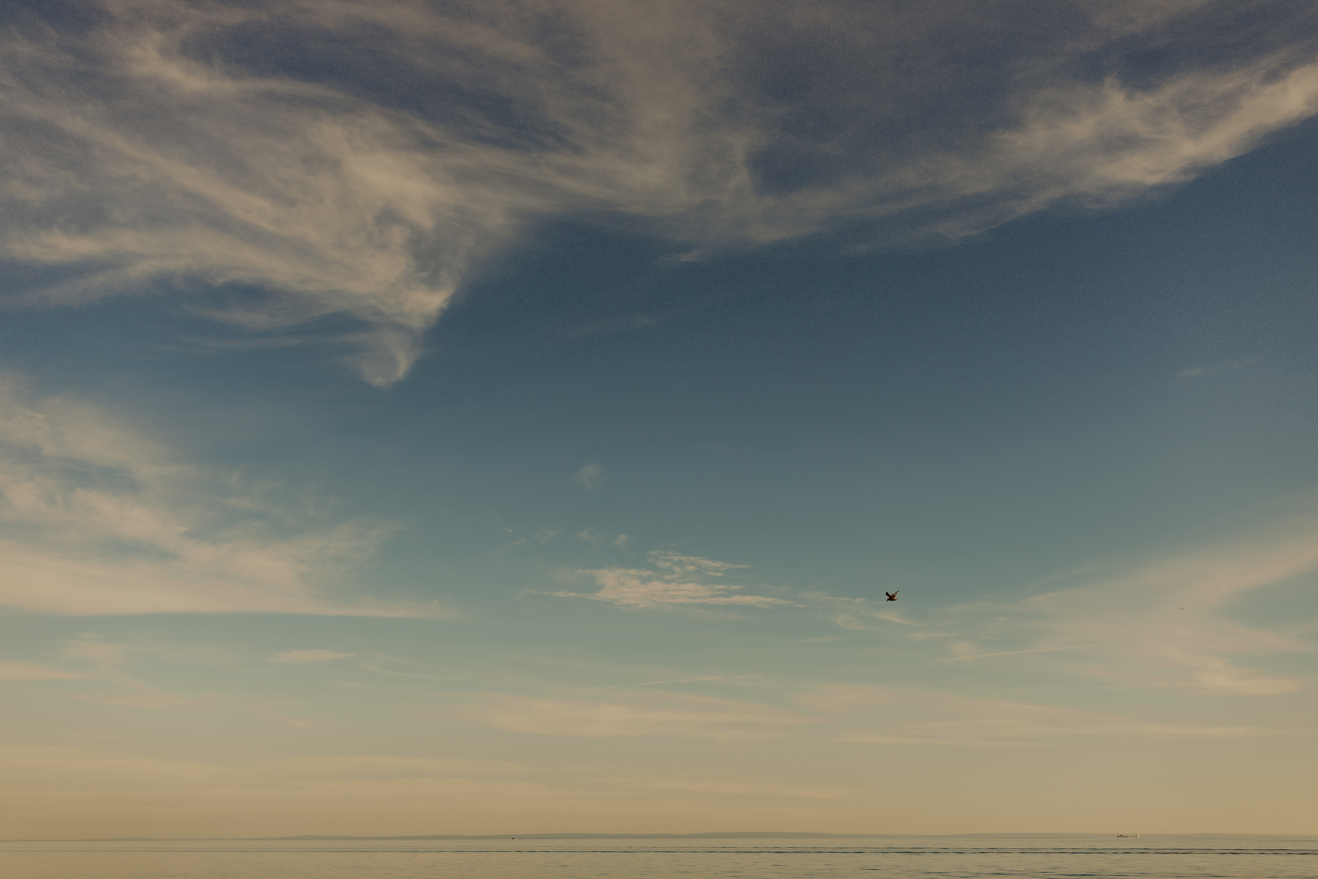 niagara beach engagement photography afterglow images